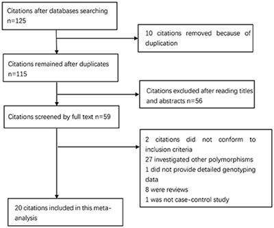 Relationship Between Tumor Necrosis Factor-α rs361525 Polymorphism and Gastric Cancer Risk: A Meta-Analysis